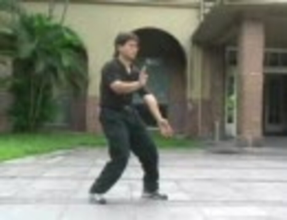 白鶴門鳴鶴拳、八歩連 - ニコニコ動画