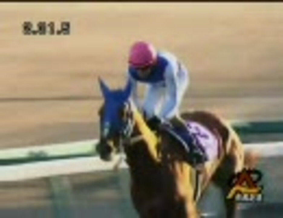 競馬]ダイワスカーレット(2008年有馬記念)額入りミニゼッケン