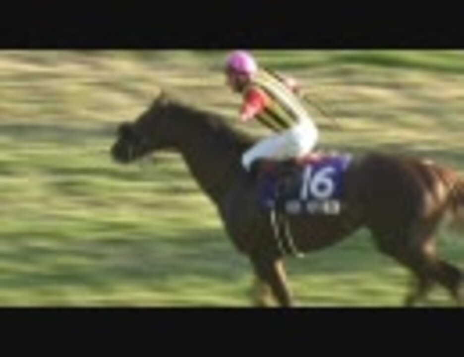 【競馬】 2008 ジャパンカップ スクリーンヒーロー 【全部盛り】