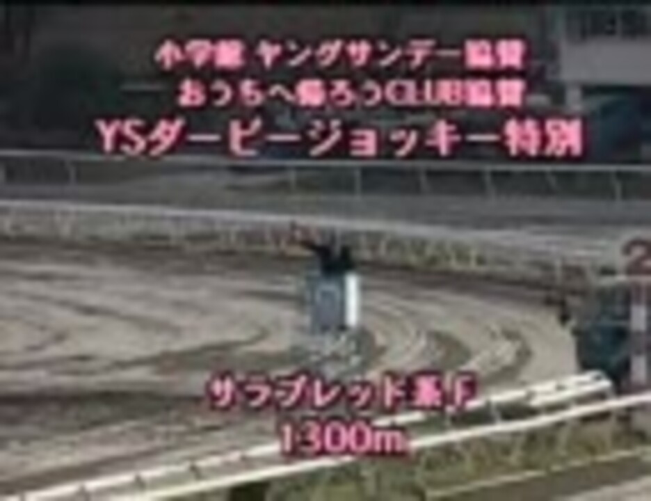 【競馬】ハルウララ武豊騎乗記念 高知YSDJ特別