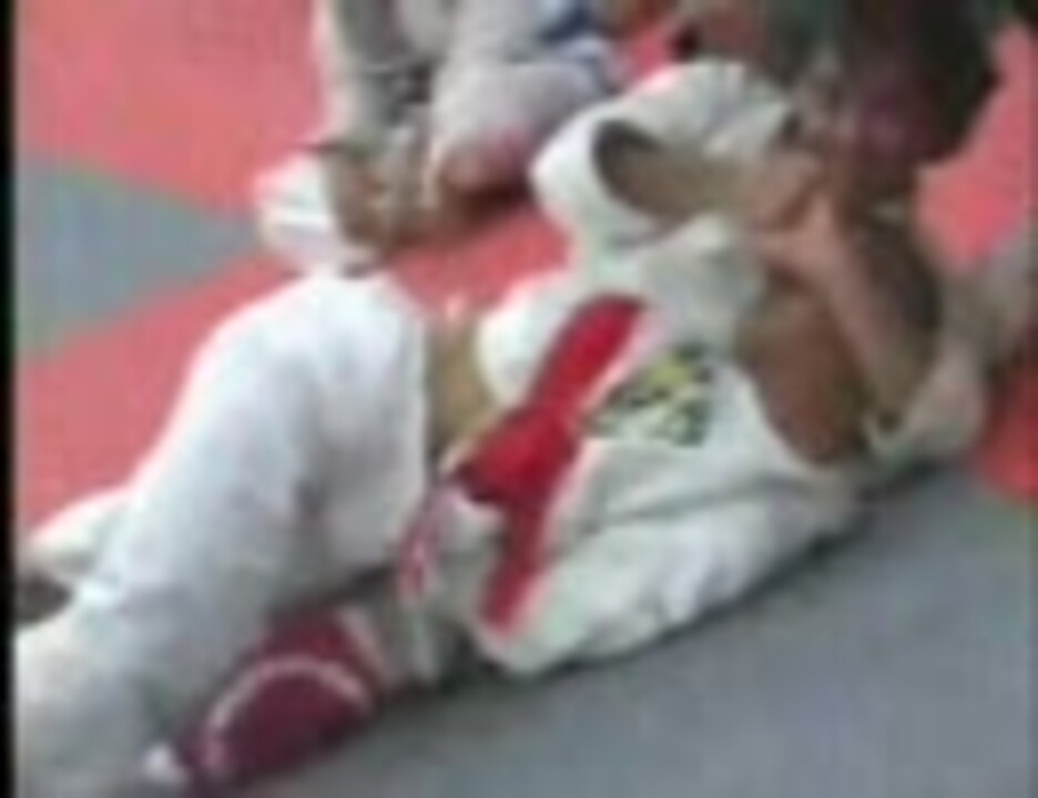 エディブラボー ツイスター グラップリング ブラジリアン柔術