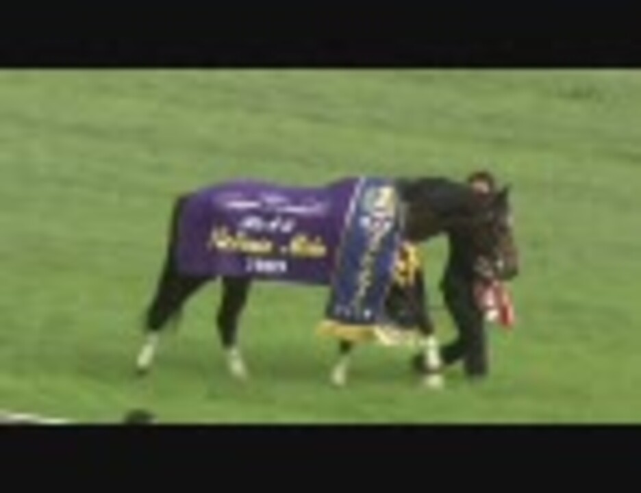 ヴィクトリアマイル 枠順確定 | サイン競馬ぶろぐ