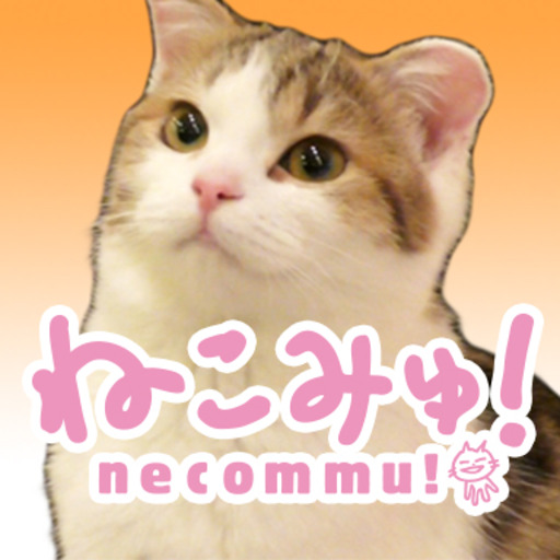 自由が丘ねこカフェクラブ 店舗情報 ねこみゅ のブロマガ ねこみゅ ねこみゅ ニコニコチャンネル バラエティ 自由が丘ねこカフェクラブ 店舗情報 ねこみゅ のブロマガ ねこみゅ ねこみゅ ニコニコチャンネル バラエティ
