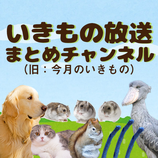 いきもの放送まとめチャンネル 旧 今月のいきもの いきもの担当者 ニコニコチャンネル バラエティ