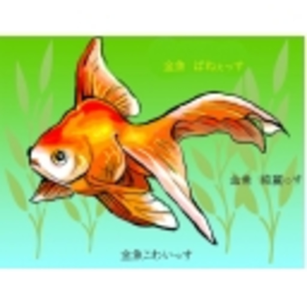 金魚の雑談タイム★