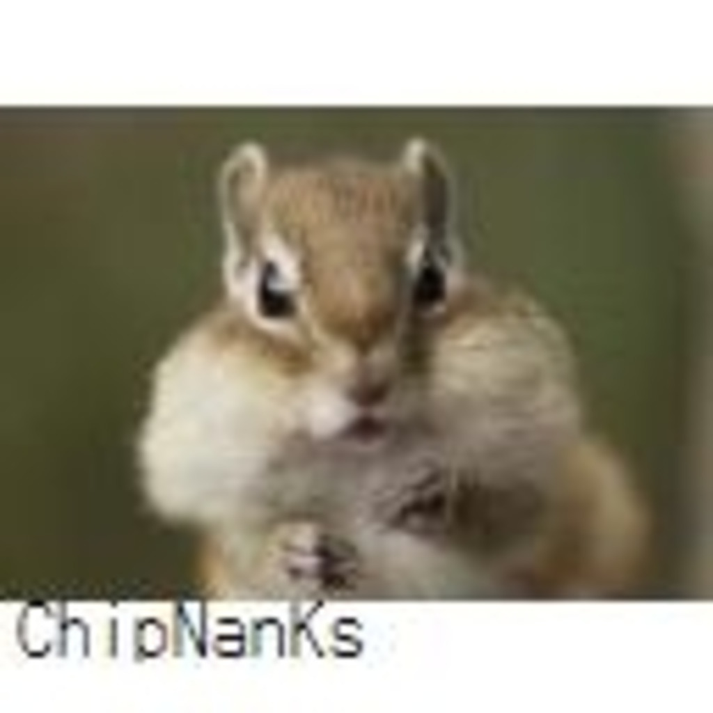 Chipmunks専用動画@ChipNanKs