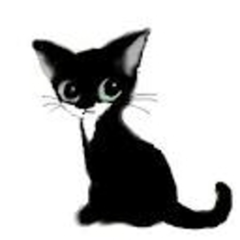 黒っぽい野良猫