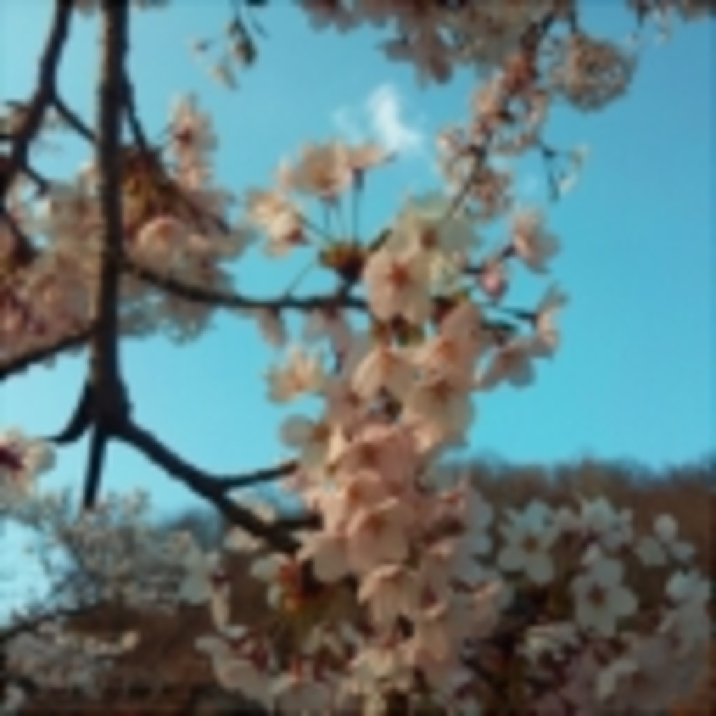 sakura咲く　～一期一会～