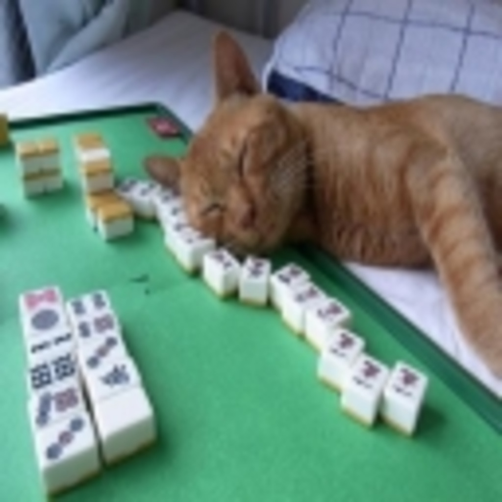 猫参麻雀　総合