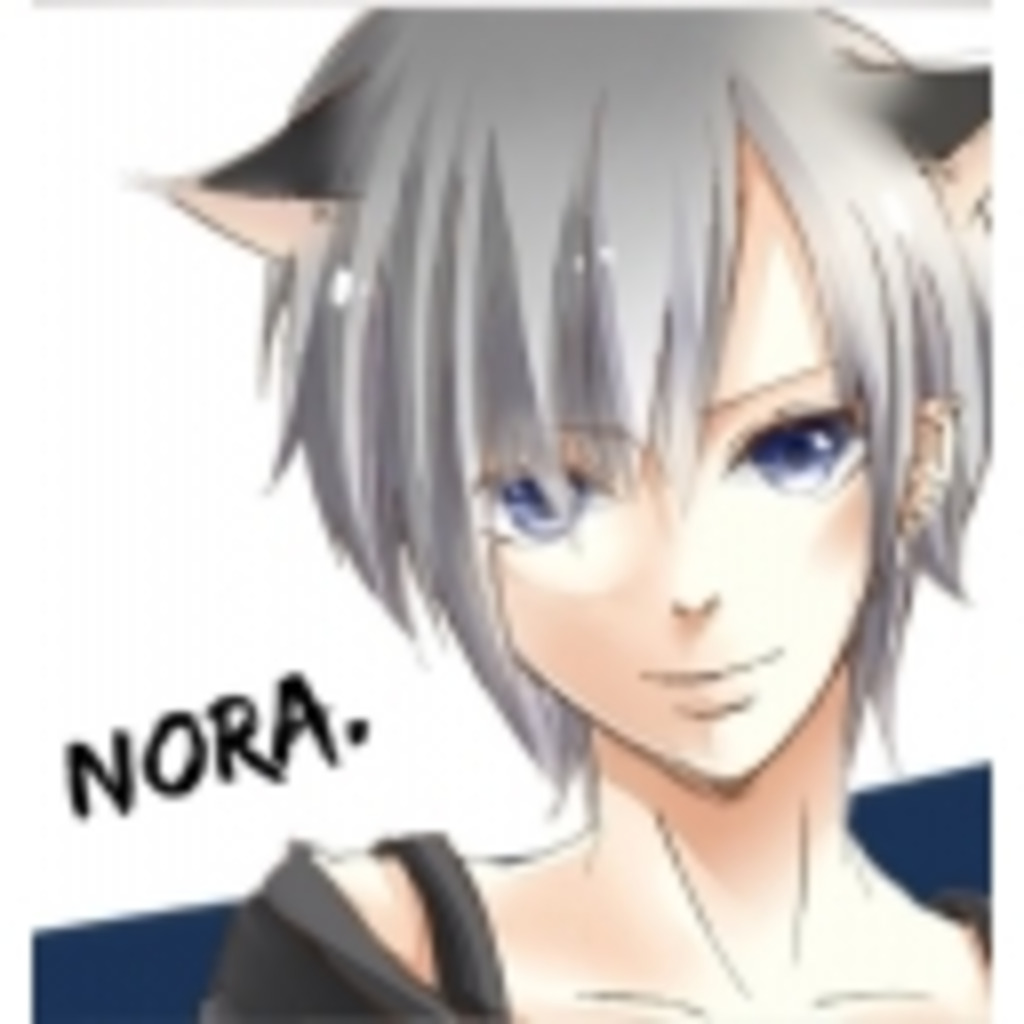 NORA.@あなたの野良猫