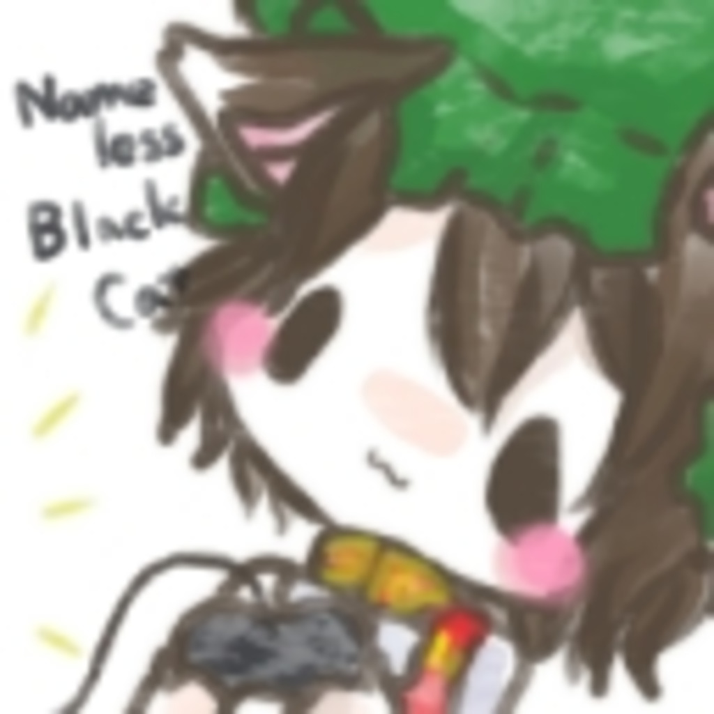 Nameless Black Cat(無名の黒猫)