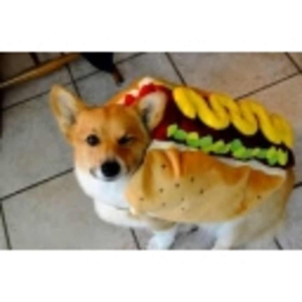 I am hotdog
