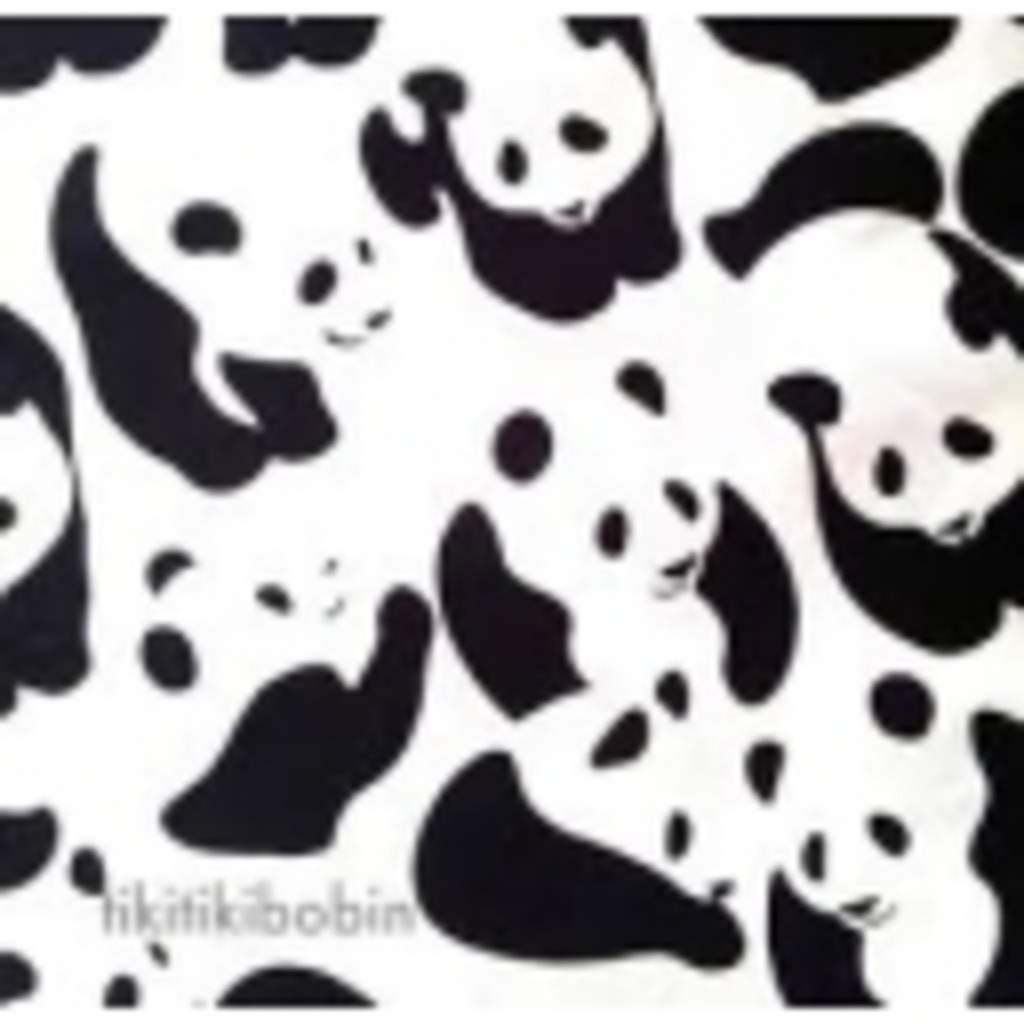 白猫+黒猫＝熊猫