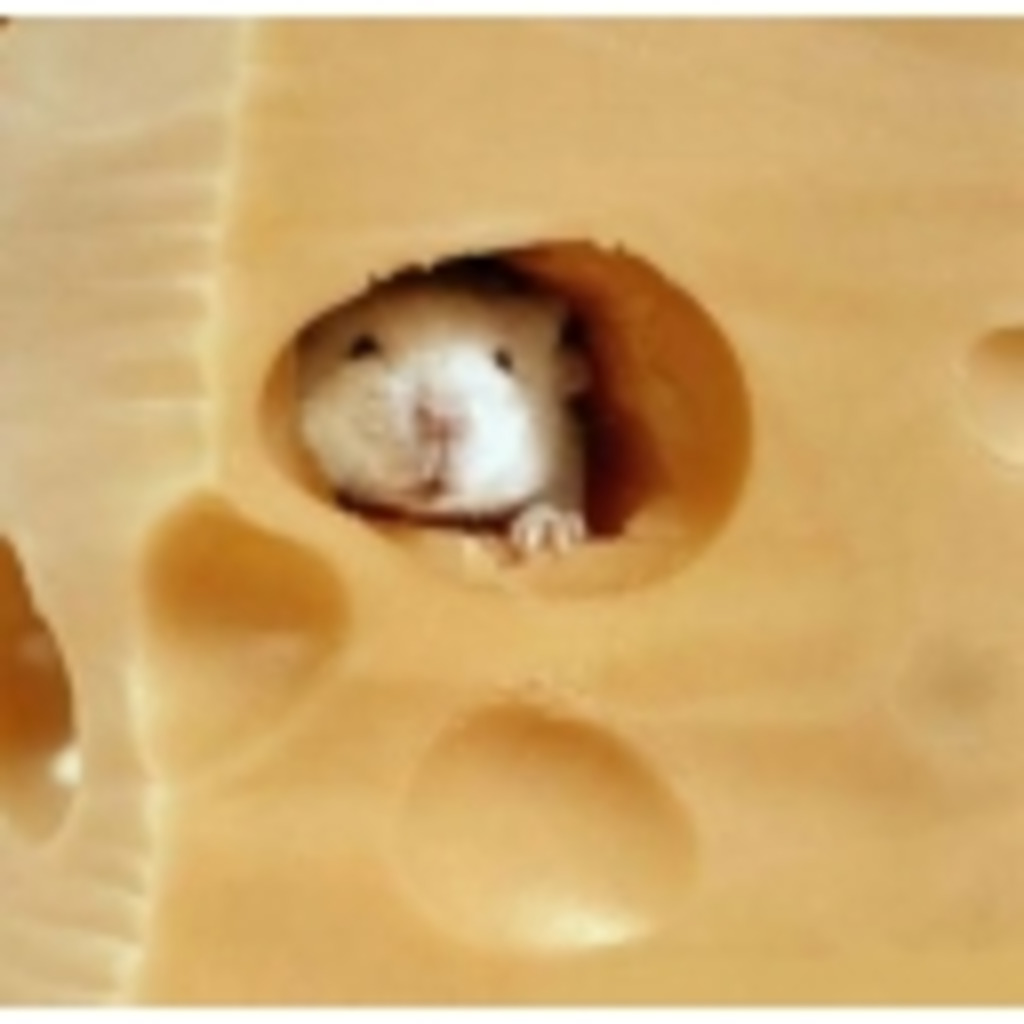 cheeserのチーズな集い