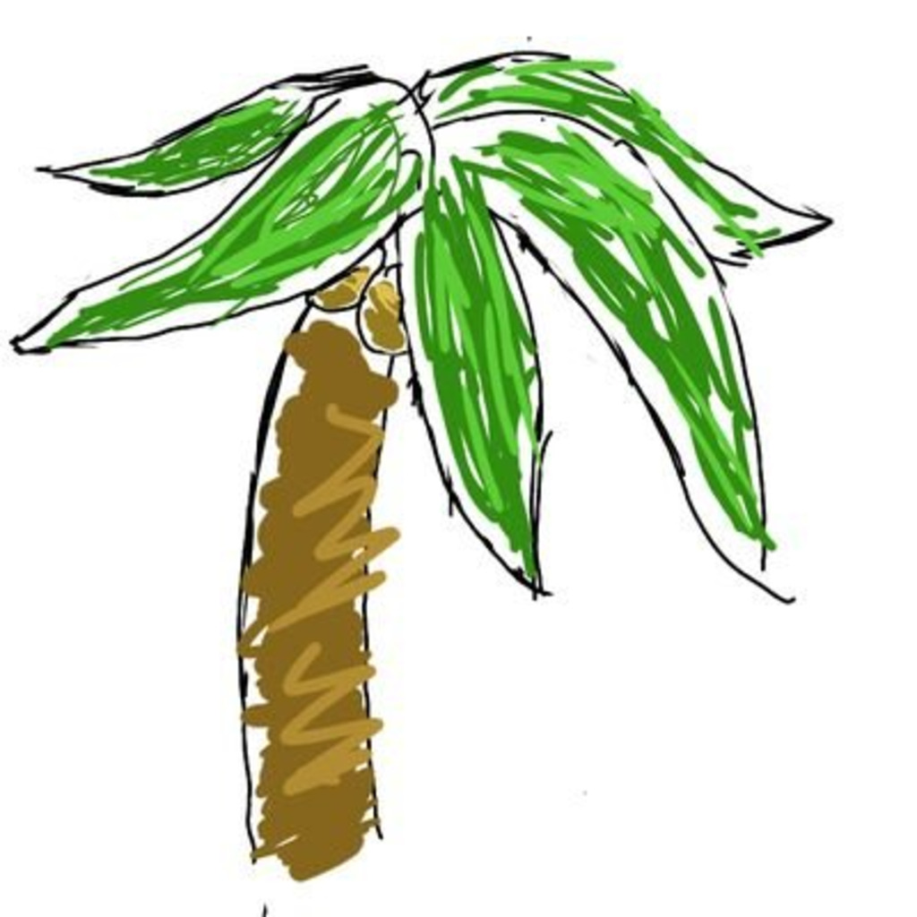 椰子の木パラダイス