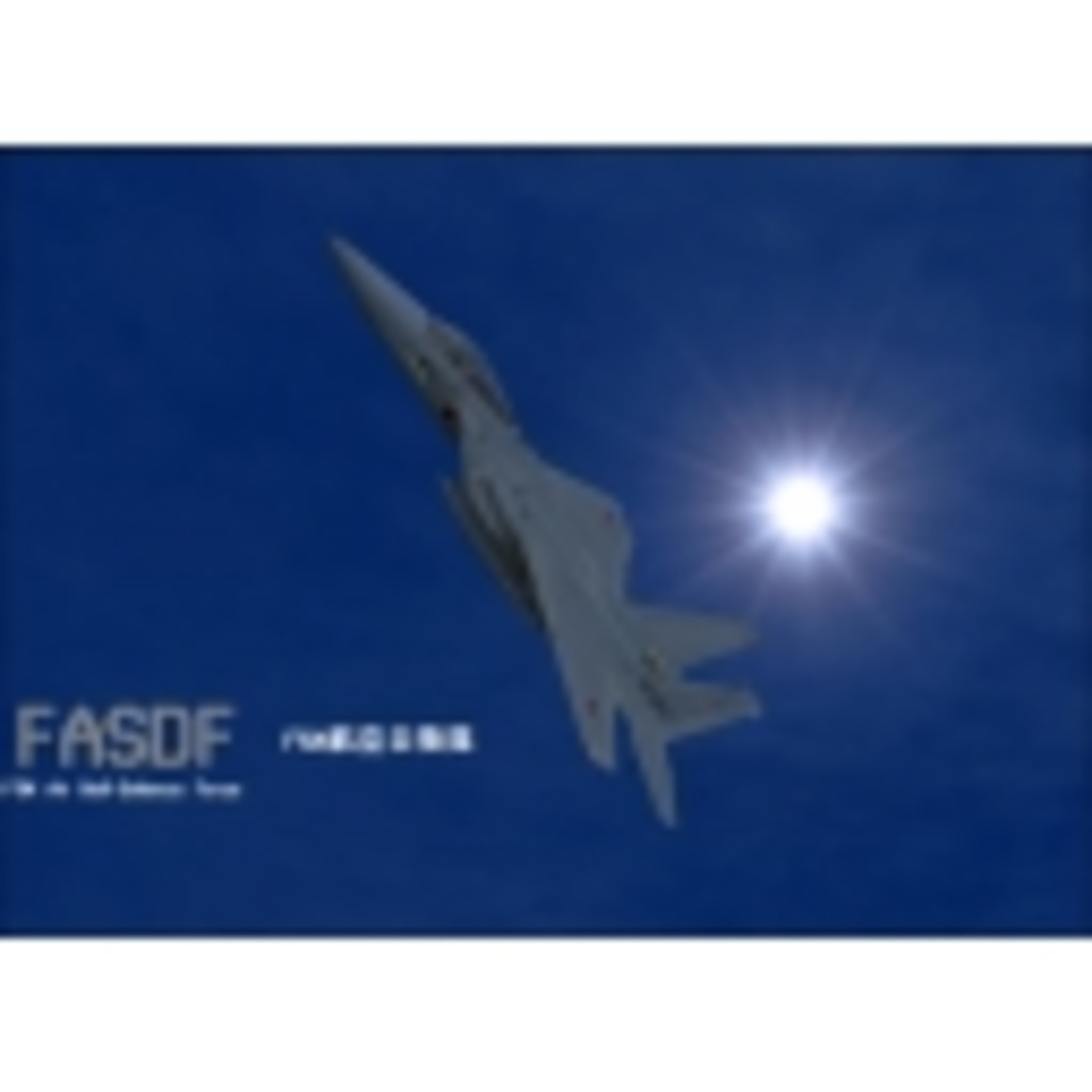 VASDF 4th Air Wing 11th Squadron
