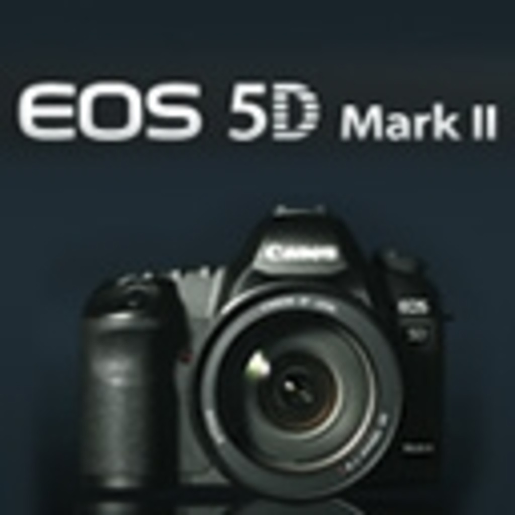 CANON EOS 5D MarkⅡ