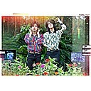 FOXPILL CULT　ニコニコ生放送