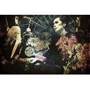 Der Zibet[『FOOL'S MATE channel』presents「A day before 35th trip」]再放送