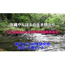 第251回UIチャンネル　沖縄やんばるの生き物たち アキノ隊員と歩く世界自然遺産候補地