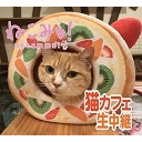 【猫カフェ生中継】東京 多摩センター「たまねこ」3/25(水)