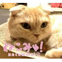 【猫カフェ生中継】新宿「きゃりこ新宿店」2/27(木)