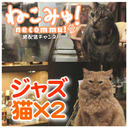 【再放送】ジャズ猫×2！ジャズが流れるオシャレなお店 看板猫をウォッチング