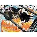 日本動物愛護協会 猫譲渡会＆『小さな命の写真展(猫Ｖｅｒｓｉｏｎ) (犬Ｖｅｒｓｉｏｎ)』生中継