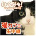 【猫カフェ生中継】恵比寿ニャフェメランジェ　3/4(水)