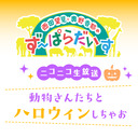 西田望見・奥野香耶のず～ぱらだいす | SEASIDE STATION