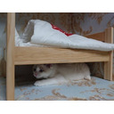 【会員放送】つうふうらじお