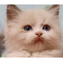 本年もありがとうございました！