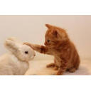 科学的に正しい「褒め方」５つの鉄則