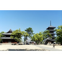 【空海の地へ行く②】空海の生誕地・善通寺〜チャリお遍路