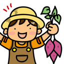 【カレハン畑】カボチャかキュウリが収穫できるはず！