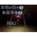 24＊本物の貝で真珠採取！！