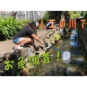 22＊人工の川でお魚調査してきたよ！