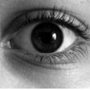 隠し芸大会を生中継！【一芸祭＠東京 八王子】