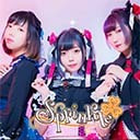 SprinkleのSprinkler LIVE 最終回