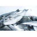 赤西礼保 COOKING SHOW＃2