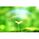 肩コリや首コリ✨スッキリヨガ。