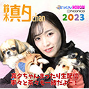 「鈴木真夕chan」まったりトーク