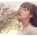 Hasumi Official Website