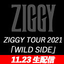 【生配信】ZIGGY TOUR 2021「WILD SIDE」【11/23 新横浜NEW SIDE BEACH!!】