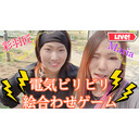 【やってみた】ビリビリ絵合わせゲーム！