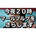 トビキングライブ配信江ノ島トーク！