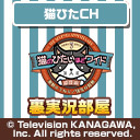 【猫ひたＣH】猫のひたいほどワイド 7周年感謝祭「激動のうねり／信念の鼓動」イベント直前特番【裏実況部屋】