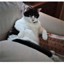 小室みつ子のラジオな夜（91回）