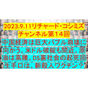 2023.9.11リチャード・コシミズ チャンネル第１４回