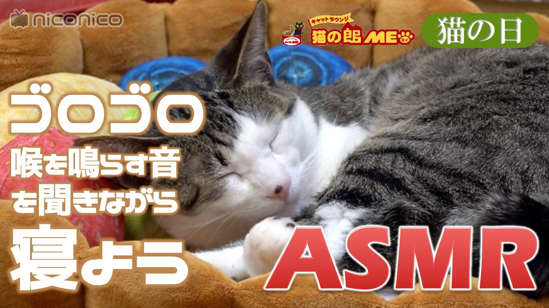 猫の日asmr 猫がゴロゴロ喉を鳴らす音を聞きながら寝よう In 猫の館me 19 02 22 金 00 10開始 ニコニコ生放送